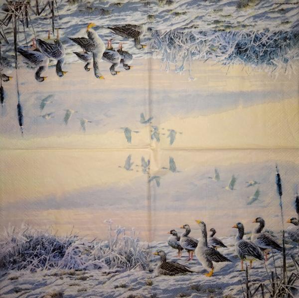 074 Enten - 3-lagig - Ambiente